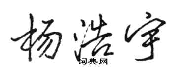 駱恆光楊浩宇行書個性簽名怎么寫