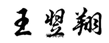 胡問遂王翌翔行書個性簽名怎么寫