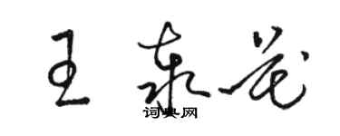 駱恆光王泰花草書個性簽名怎么寫