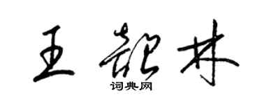 梁錦英王韶林草書個性簽名怎么寫