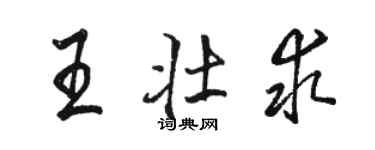 駱恆光王壯求行書個性簽名怎么寫