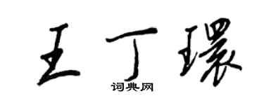 王正良王丁環行書個性簽名怎么寫