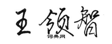 駱恆光王領智行書個性簽名怎么寫