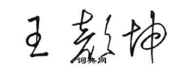 駱恆光王顏坤草書個性簽名怎么寫