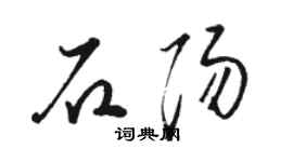 駱恆光石陽草書個性簽名怎么寫