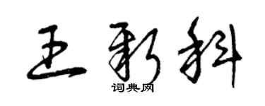 曾慶福王新科草書個性簽名怎么寫