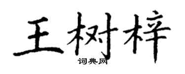 丁謙王樹梓楷書個性簽名怎么寫