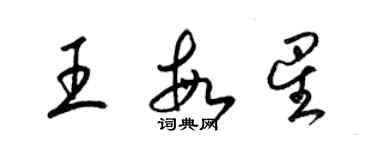 梁錦英王敏星草書個性簽名怎么寫