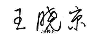 駱恆光王曉京草書個性簽名怎么寫