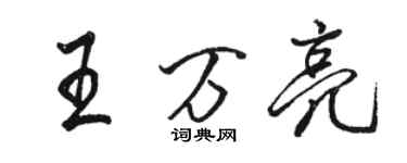 駱恆光王萬亮行書個性簽名怎么寫