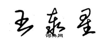 朱錫榮王泰星草書個性簽名怎么寫