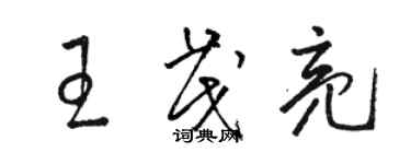 駱恆光王茂亮草書個性簽名怎么寫