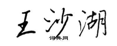 王正良王沙湖行書個性簽名怎么寫