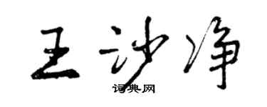 曾慶福王沙淨行書個性簽名怎么寫