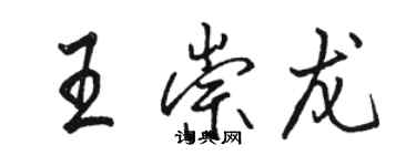 駱恆光王崇龍行書個性簽名怎么寫