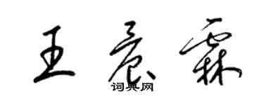 梁錦英王晨霖草書個性簽名怎么寫