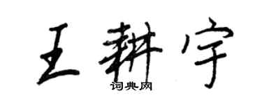 王正良王耕宇行書個性簽名怎么寫