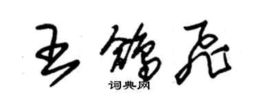 朱錫榮王鴿飛草書個性簽名怎么寫