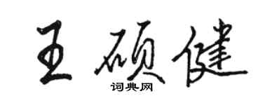 駱恆光王碩健行書個性簽名怎么寫