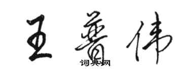 駱恆光王普偉行書個性簽名怎么寫