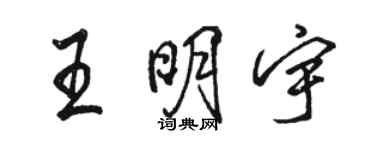 駱恆光王明宇行書個性簽名怎么寫