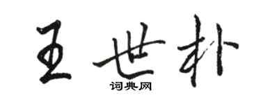 駱恆光王世朴行書個性簽名怎么寫