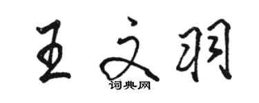 駱恆光王文羽行書個性簽名怎么寫