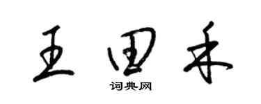 梁錦英王田禾草書個性簽名怎么寫