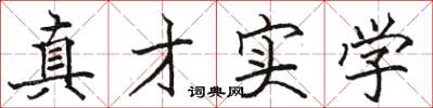 駱恆光真才實學楷書怎么寫