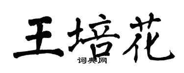 翁闓運王培花楷書個性簽名怎么寫