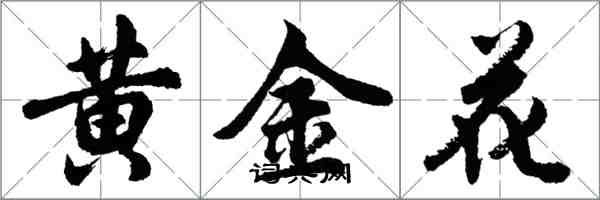 胡問遂黃金花行書怎么寫