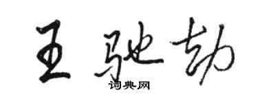 駱恆光王馳劫行書個性簽名怎么寫