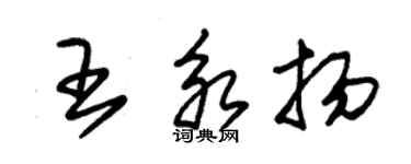 朱錫榮王永揚草書個性簽名怎么寫