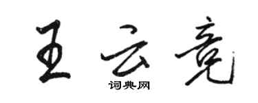 駱恆光王雲競行書個性簽名怎么寫