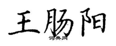 丁謙王腸陽楷書個性簽名怎么寫