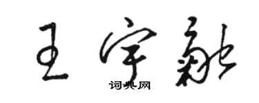 駱恆光王宇融草書個性簽名怎么寫