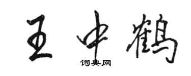 駱恆光王中鶴行書個性簽名怎么寫