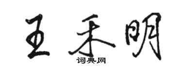 駱恆光王禾明行書個性簽名怎么寫