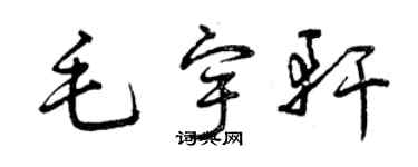 曾慶福毛宇軒草書個性簽名怎么寫