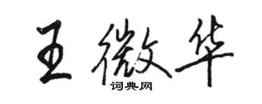 駱恆光王微華行書個性簽名怎么寫