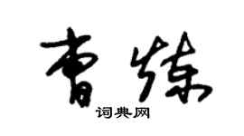 朱錫榮曹煉草書個性簽名怎么寫