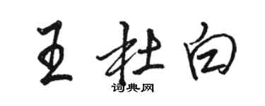 駱恆光王杜白行書個性簽名怎么寫