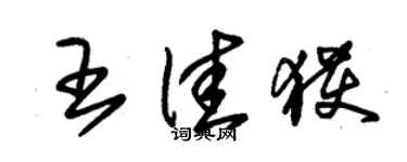 朱錫榮王佳獲草書個性簽名怎么寫