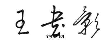 駱恆光王書影草書個性簽名怎么寫