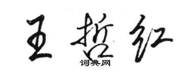 駱恆光王哲紅行書個性簽名怎么寫