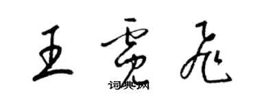 梁錦英王霓飛草書個性簽名怎么寫