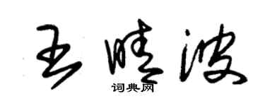 朱錫榮王晴波草書個性簽名怎么寫