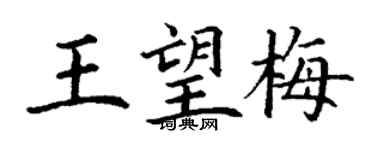 丁謙王望梅楷書個性簽名怎么寫
