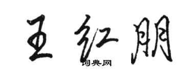 駱恆光王紅朋行書個性簽名怎么寫