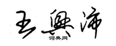 朱錫榮王興沛草書個性簽名怎么寫